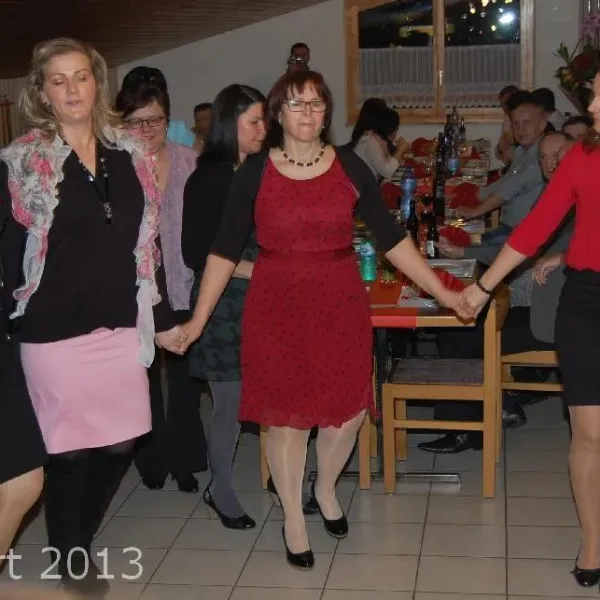 Dan žena 2013 11